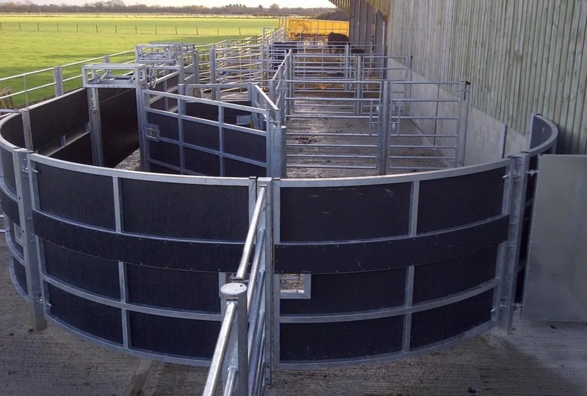 Stock board - Image 2