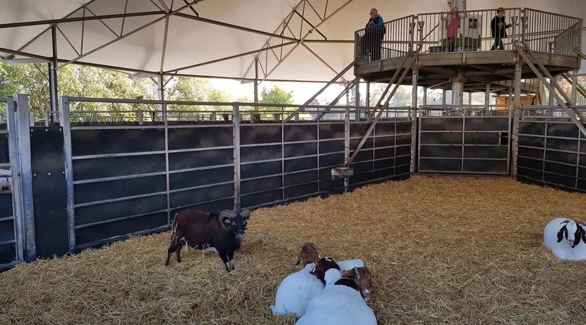 Stock board - Image 3