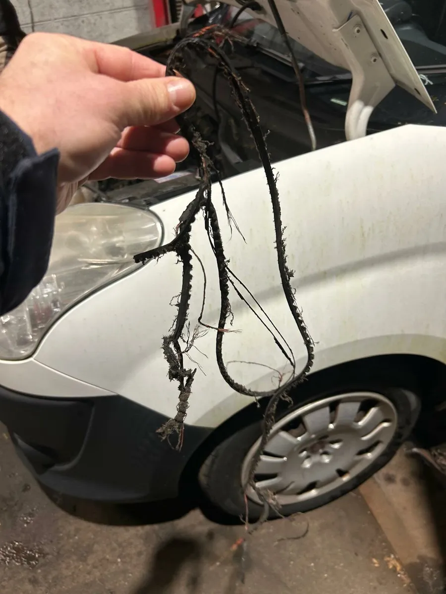 2013 Fiat Doblo 5 siters COMMERCIAL 1.6 Diesel - Image 4