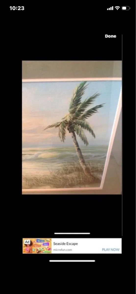Original Florida Painting - Image 3