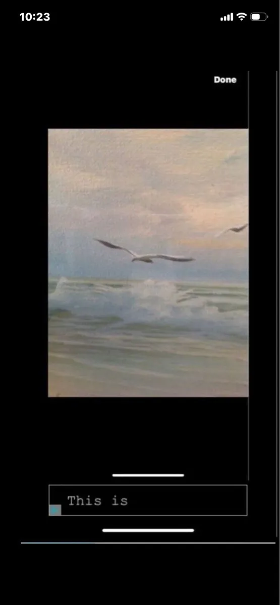 Original Florida Painting - Image 4