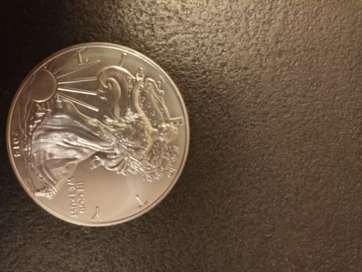 20 x 1oz Silver American eagle 2014 - Image 4