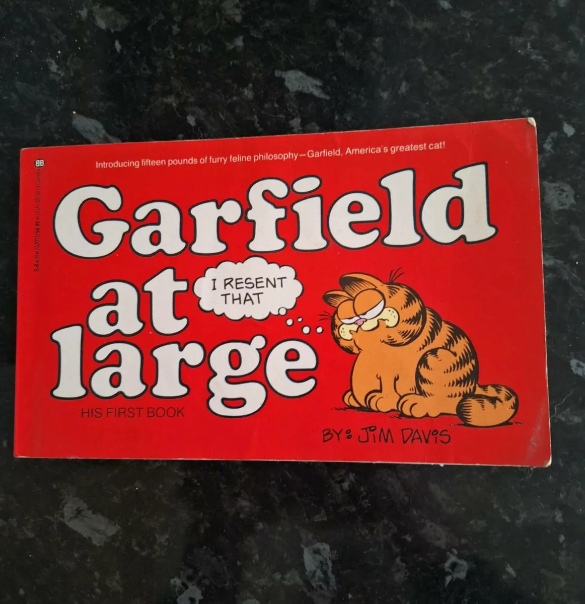 Vintage Garfield at Large His First Book - Image 1
