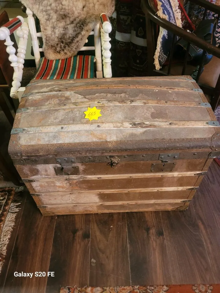 19th century Oak trunk