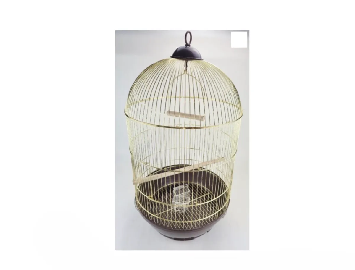 Bird Cages for Sale - ALL 20euro Each - Image 1