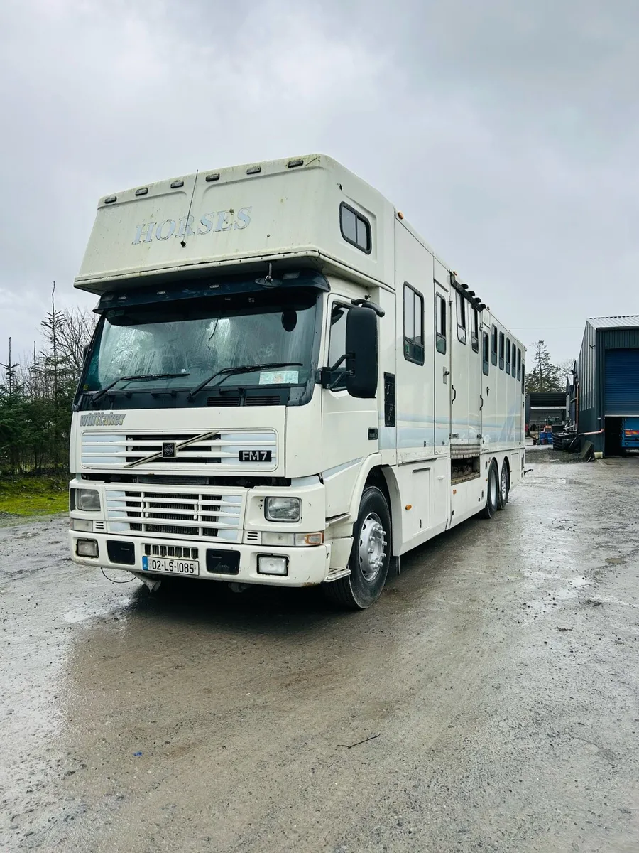 Volvo 9 horse Whittaker build - Image 2