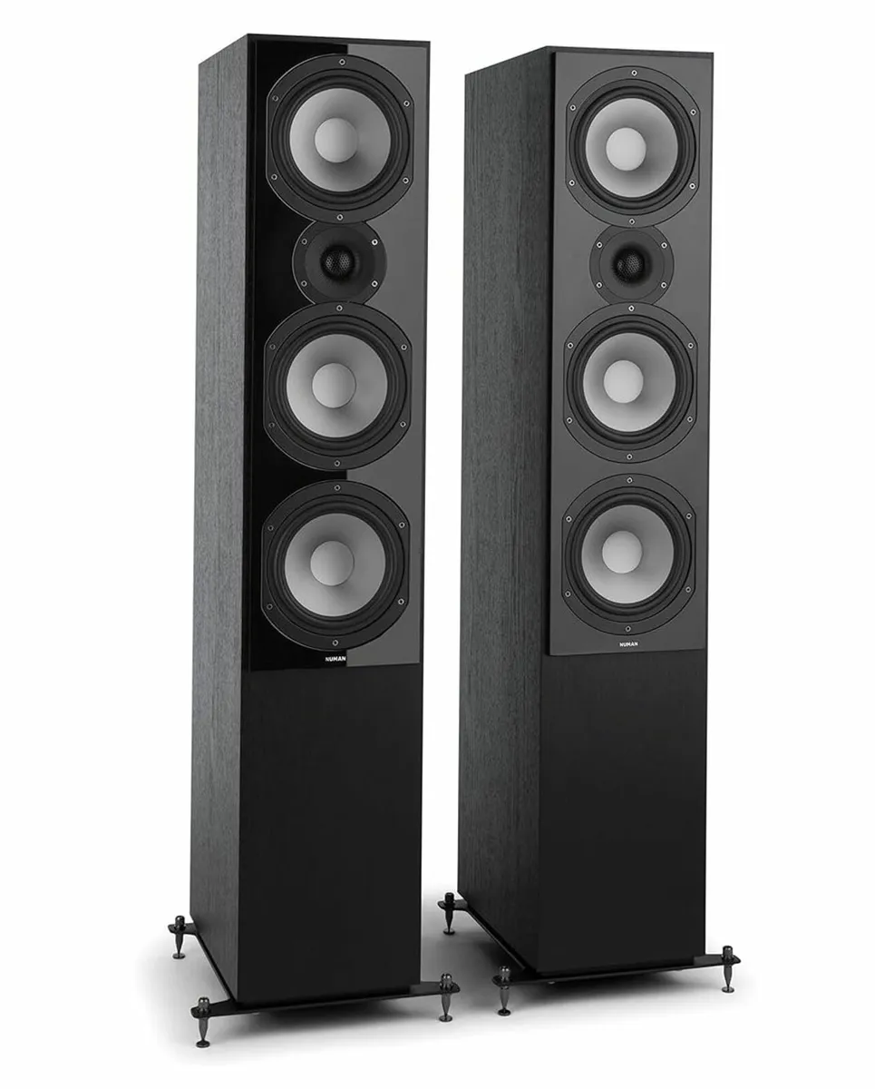 Floorstanding Speaker Numan Reference 801 - Image 2