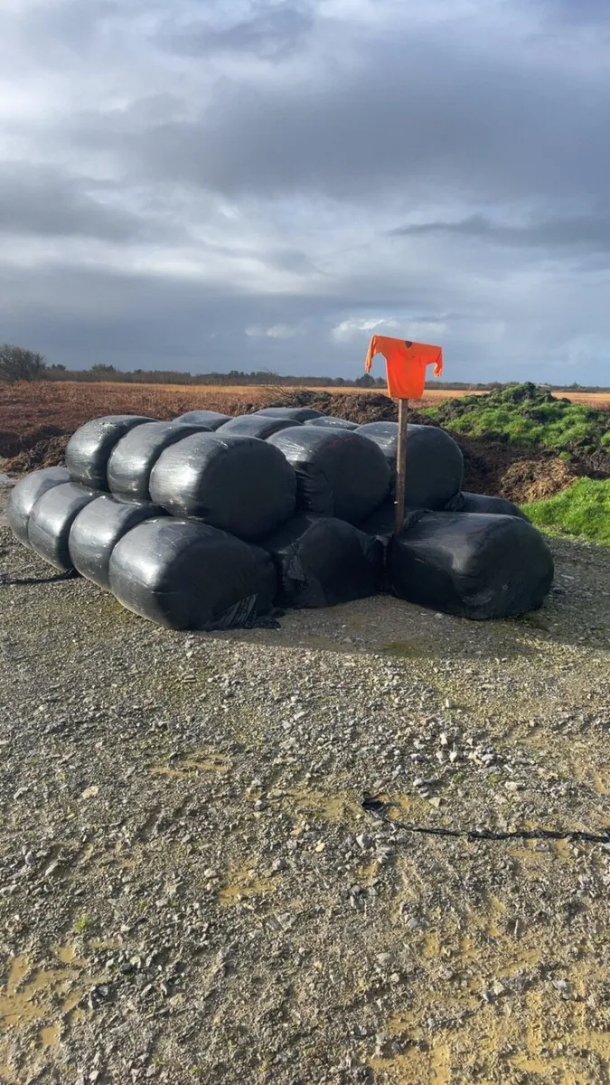 Bales of silage - Image 1