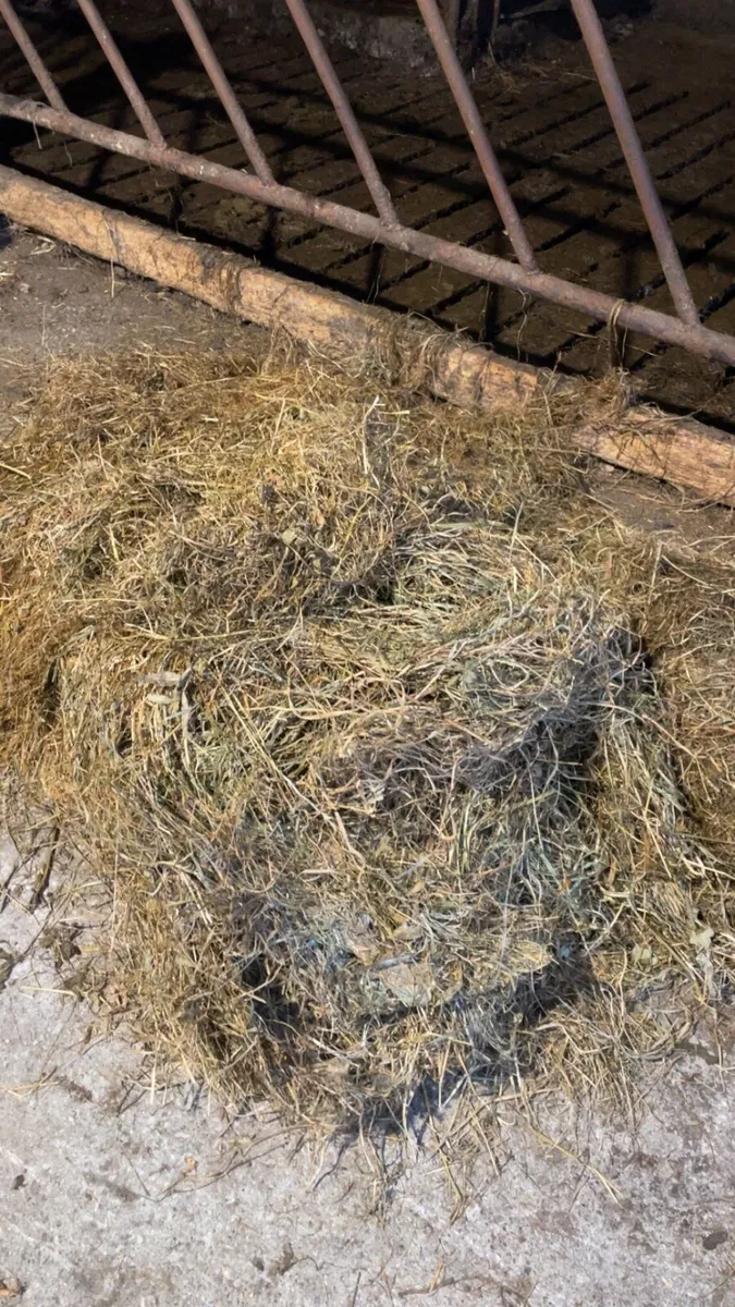 Bales of silage - Image 2