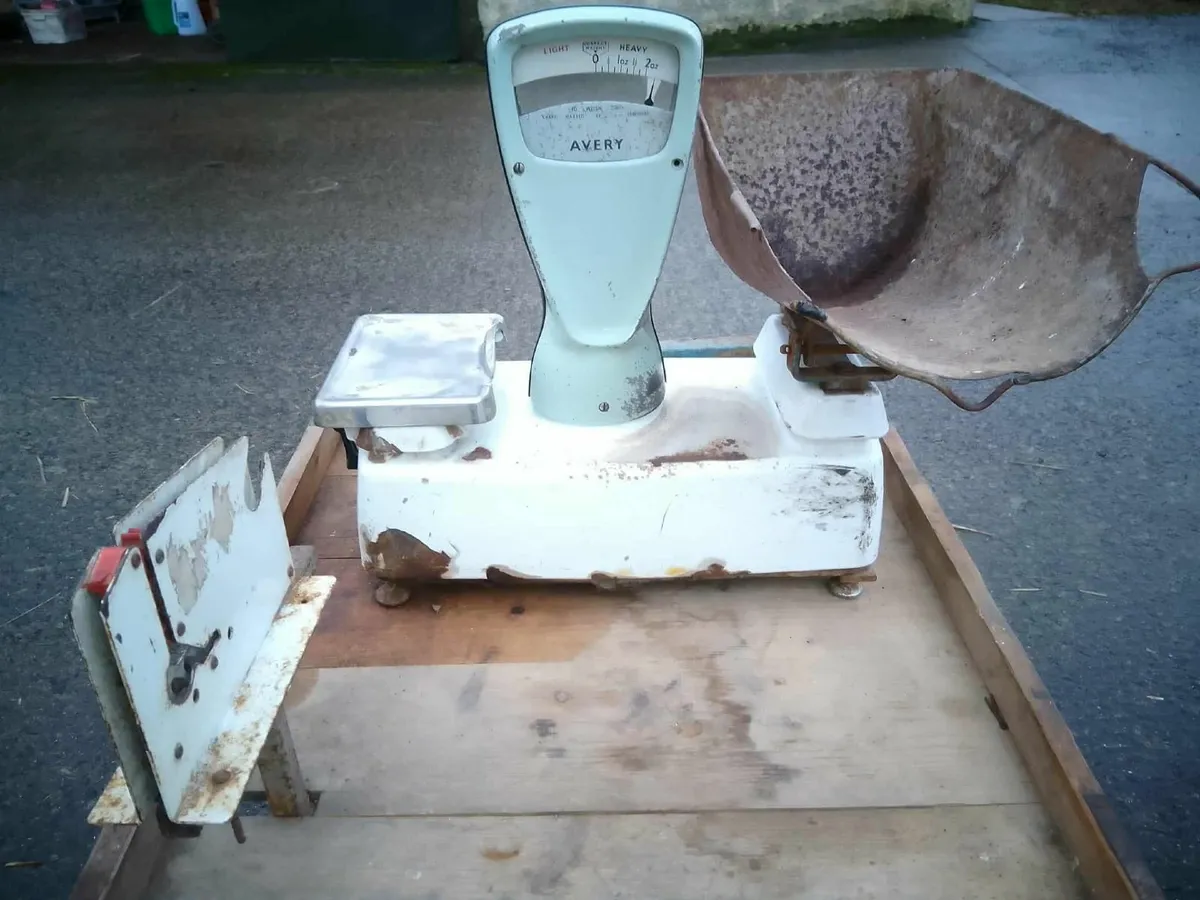 Potato Prepackers - Image 4