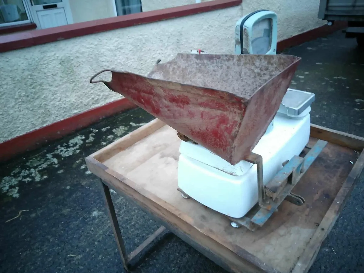 Potato Prepackers - Image 3