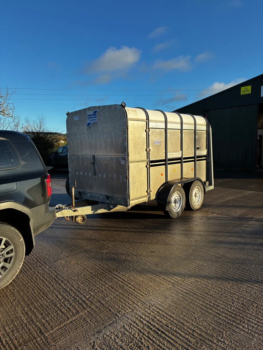 Ifor Williams 10x5ft 10 cattle box - Image 2