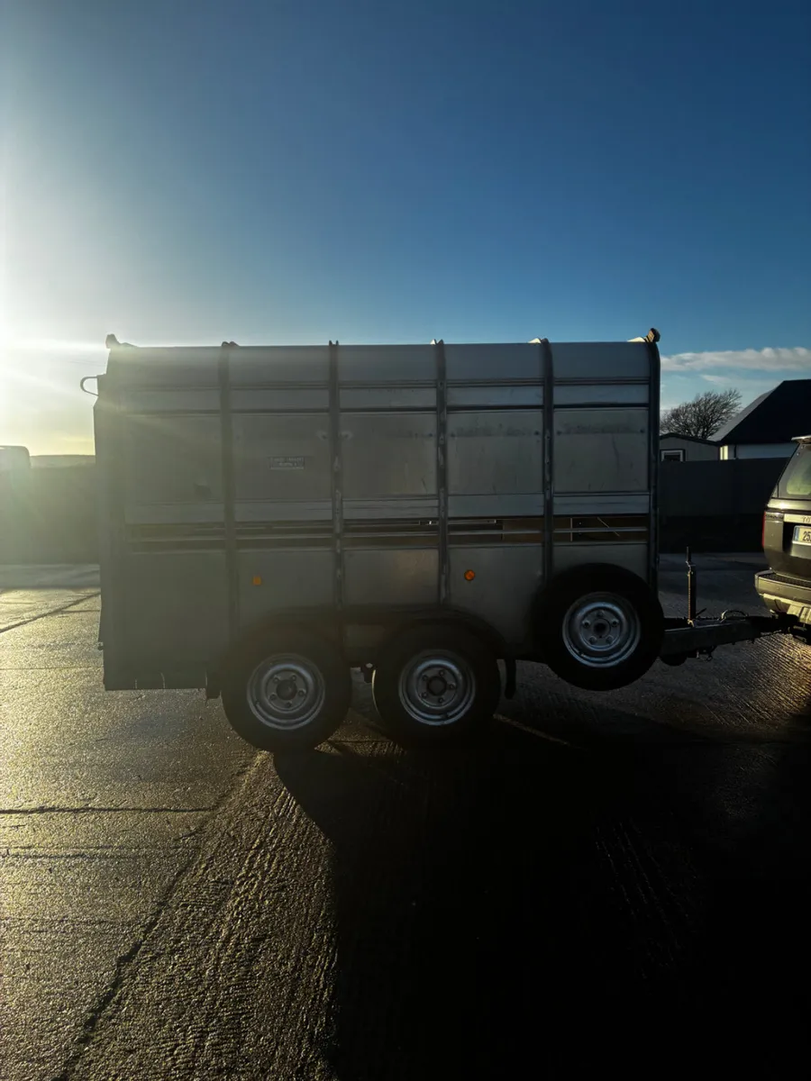 Ifor Williams 10x5ft 10 cattle box - Image 4