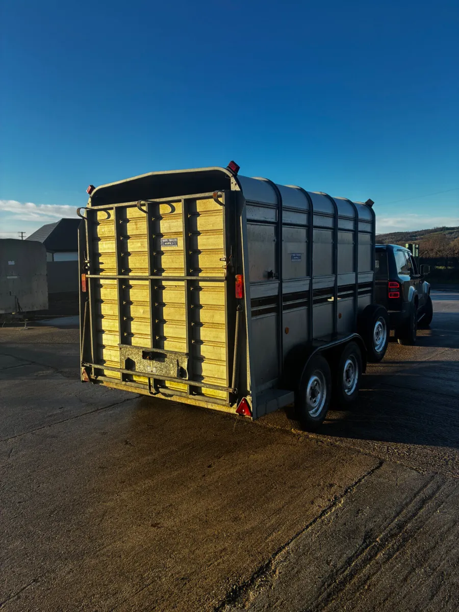Ifor Williams 10x5ft 10 cattle box - Image 3