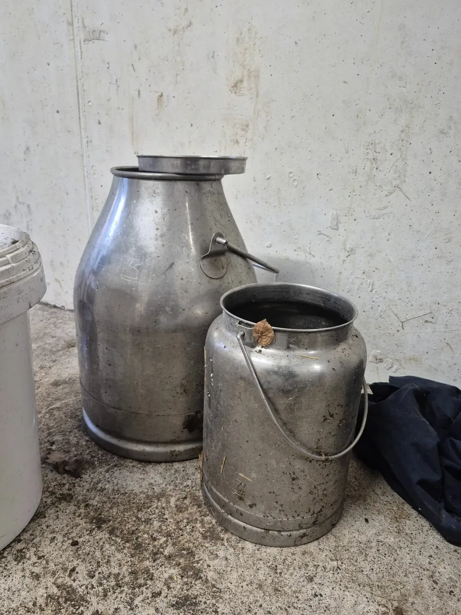 Mobile milking machine - Image 2