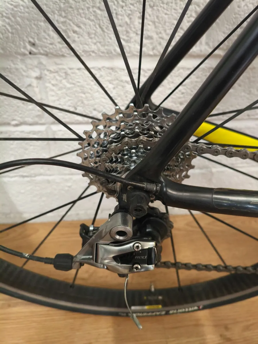 Basso Diamante - Image 3