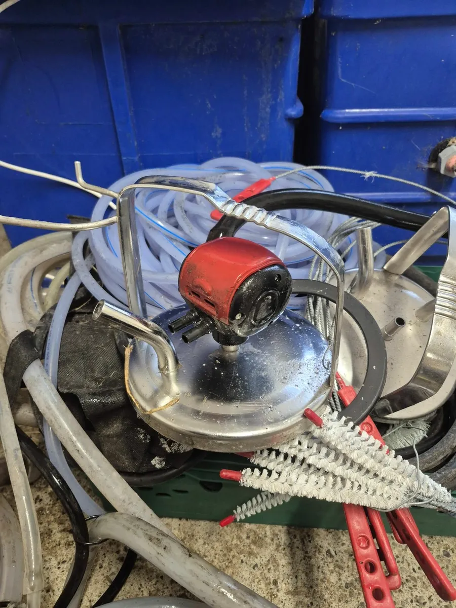 Mobile milking machine - Image 4