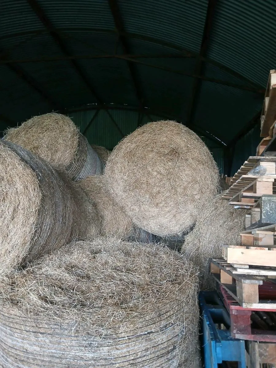 Round and square bales for sale - Image 1