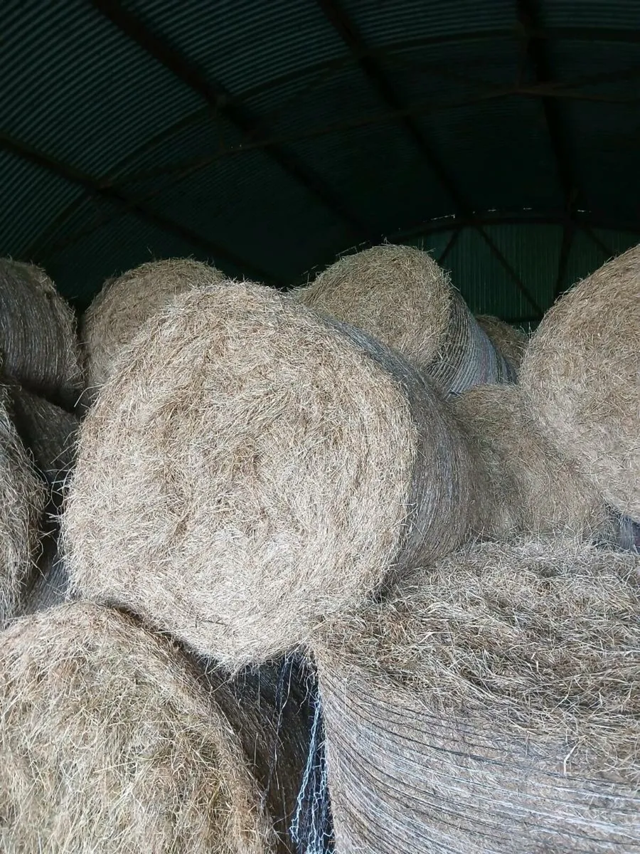 Round and square bales for sale - Image 2
