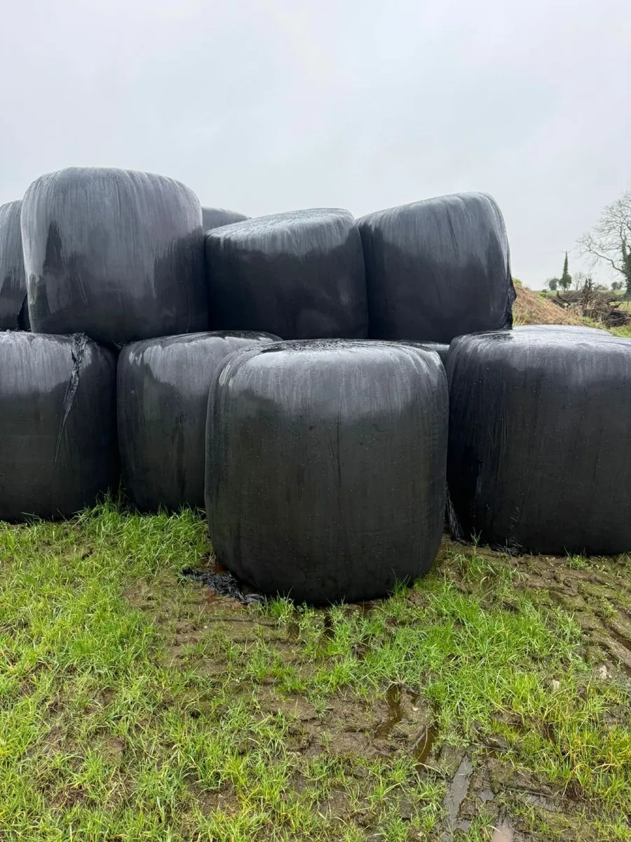 Silage Bales - Image 1