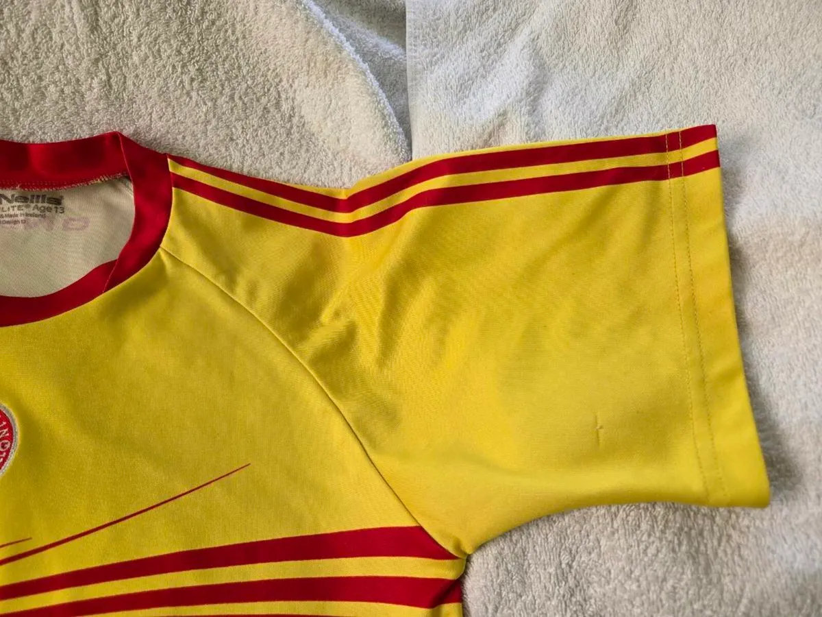 Tyrone Gaelic Football Away Jersey 2013 to 2014 - Image 2