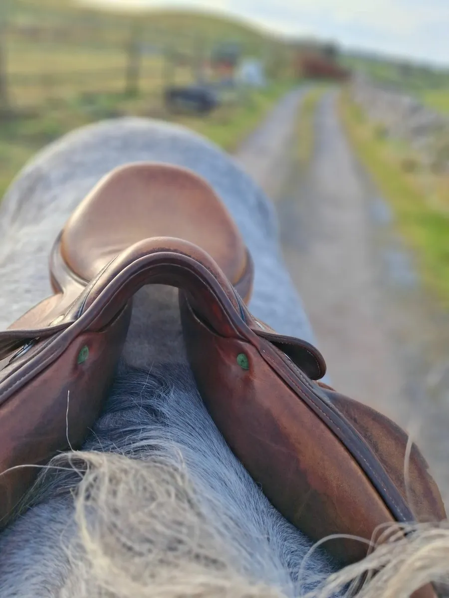 17.5" Devocoux Monoflap Medium Width Saddle - Image 2
