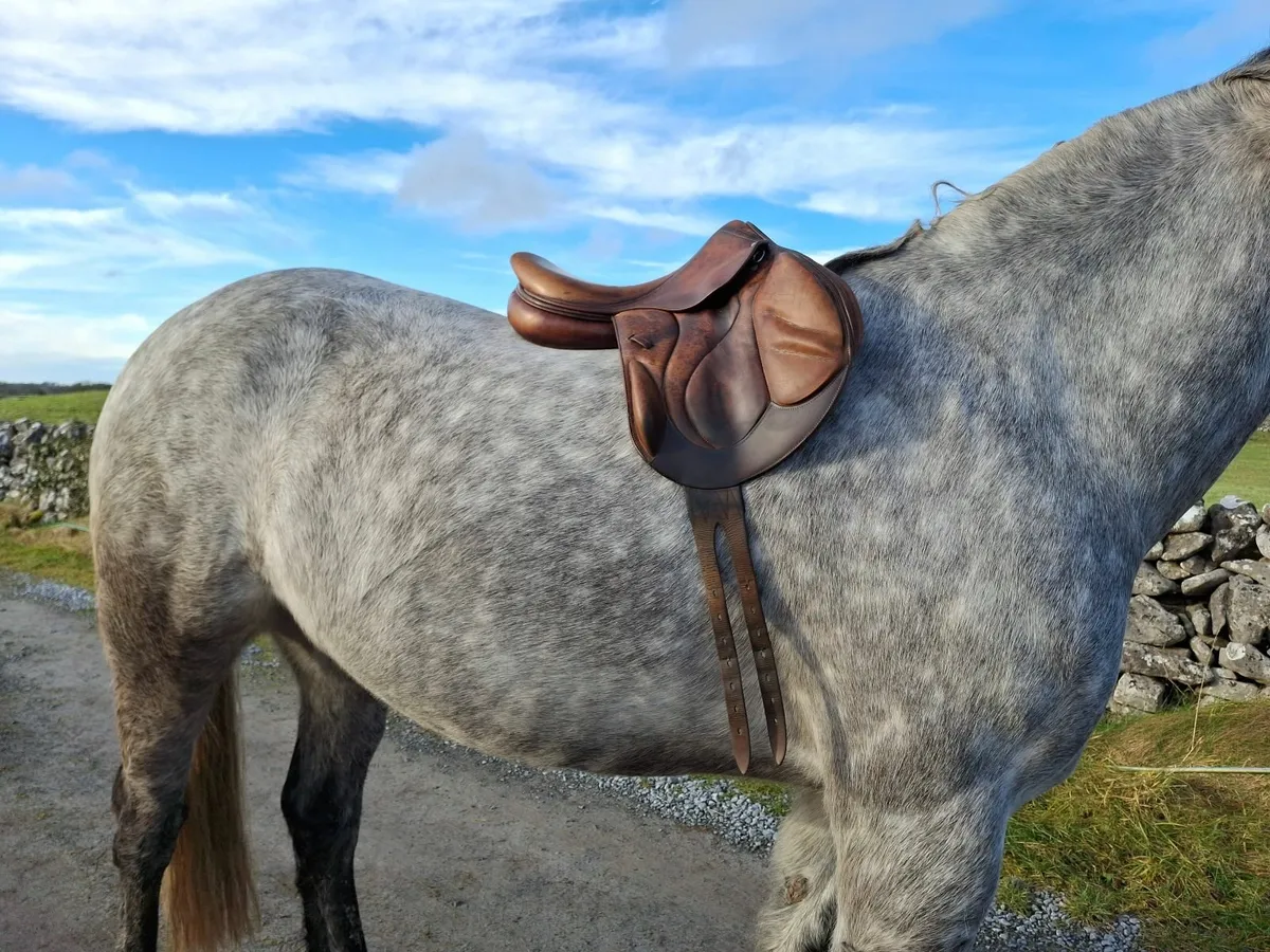 17.5" Devocoux Monoflap Medium Width Saddle - Image 1