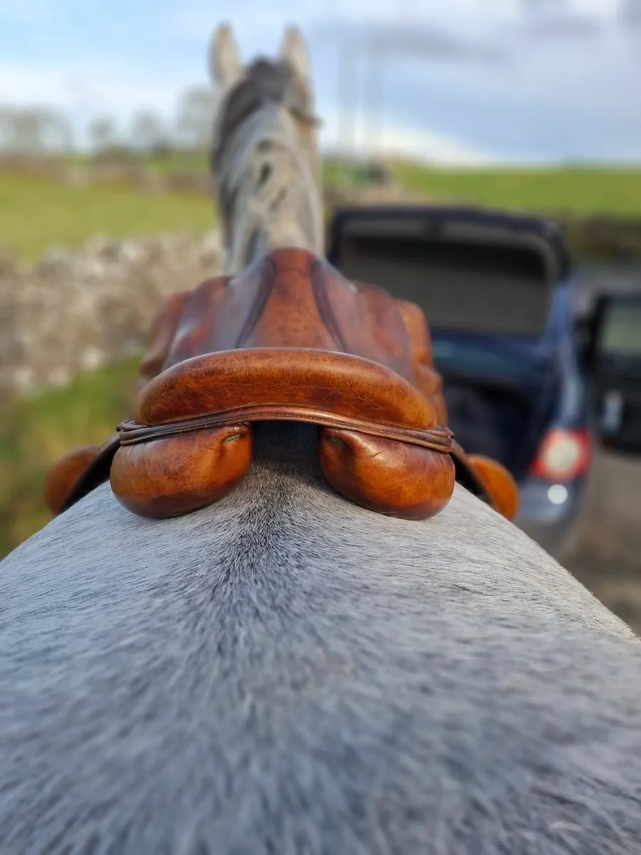 17.5" Devocoux Monoflap Medium Width Saddle - Image 3