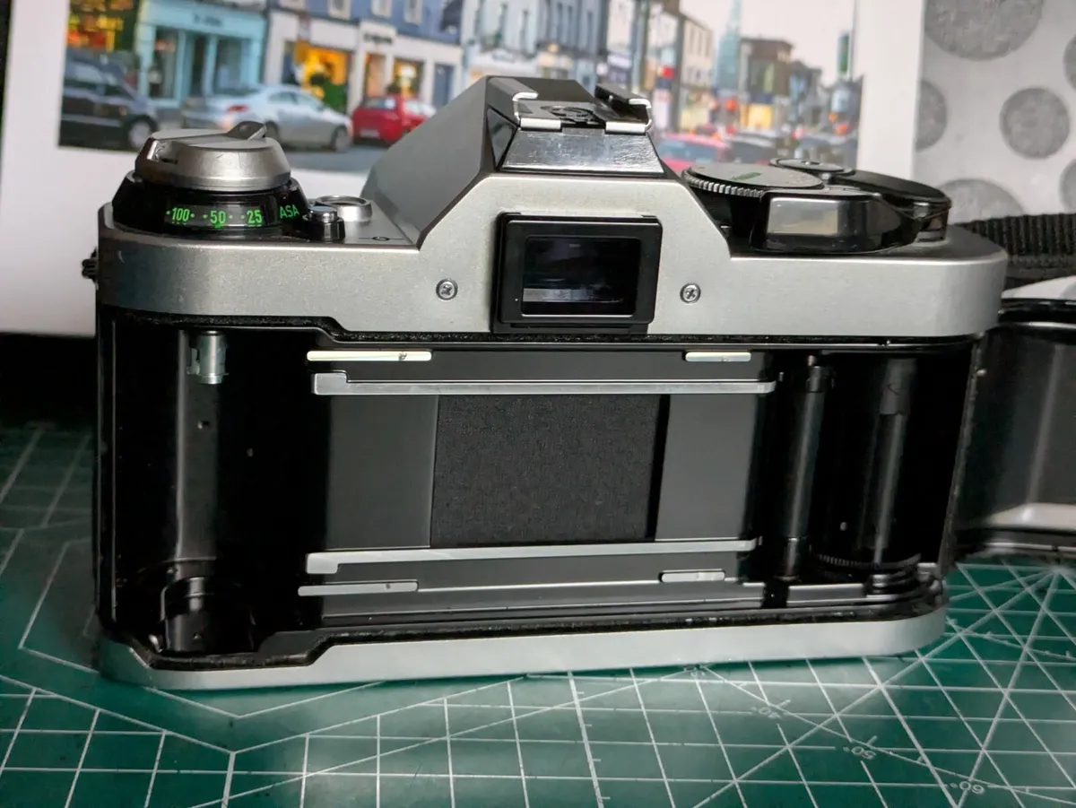 🎞️ Canon AE-1 Program - Image 4