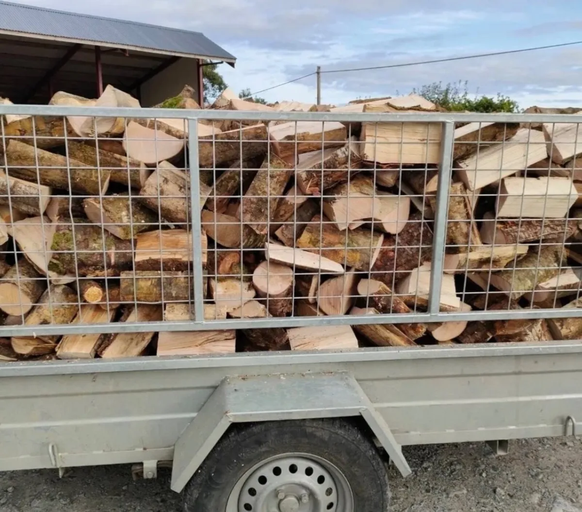 Firewood - Image 1
