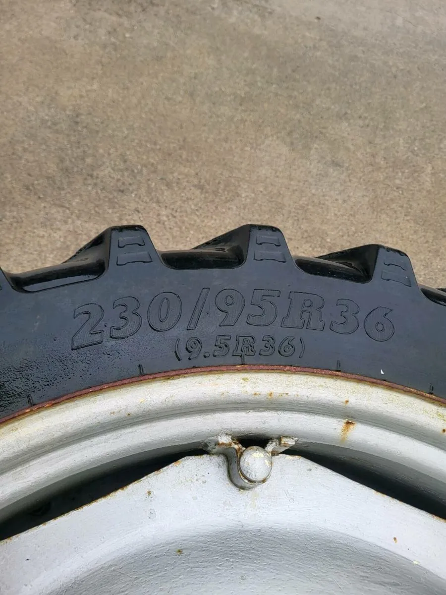 Rowcrops what - Image 4