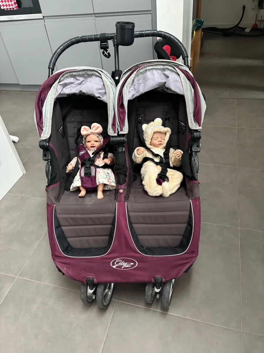 Double Buggy - Image 1
