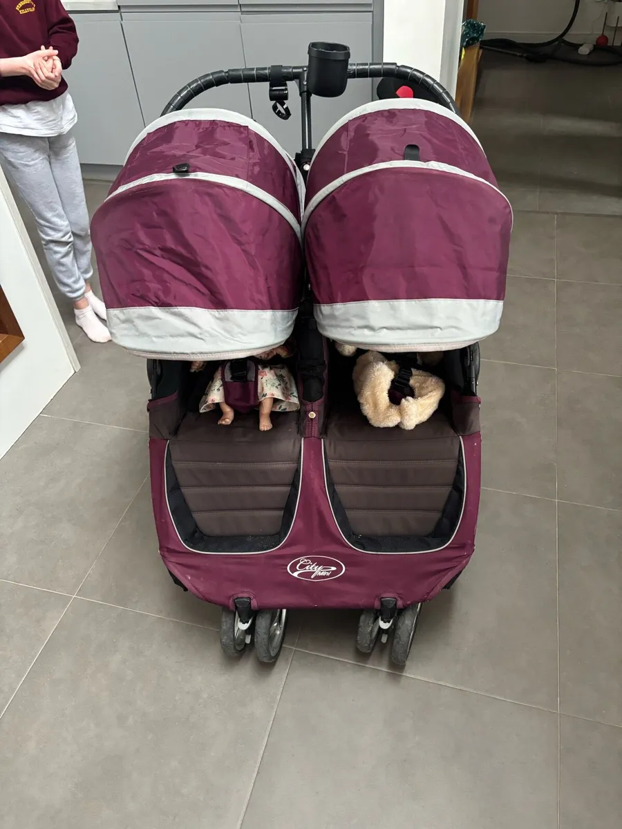 Double Buggy - Image 2