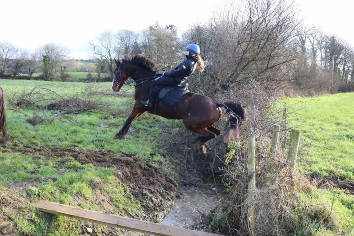 Hero ⭐️ - Image 1