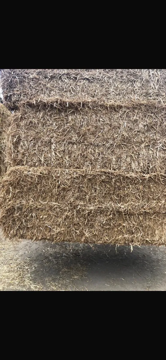 Straw for sale - Image 3