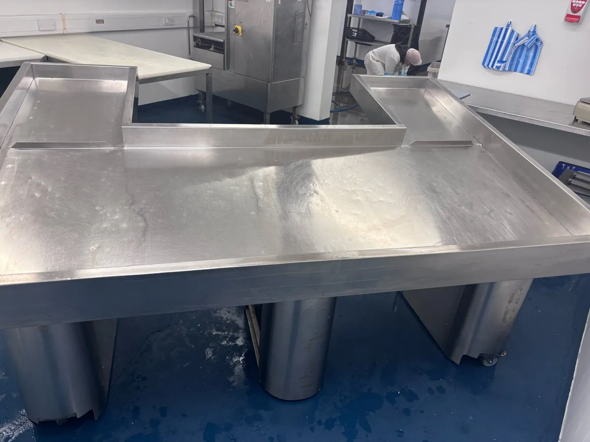 Fish counter - Image 1
