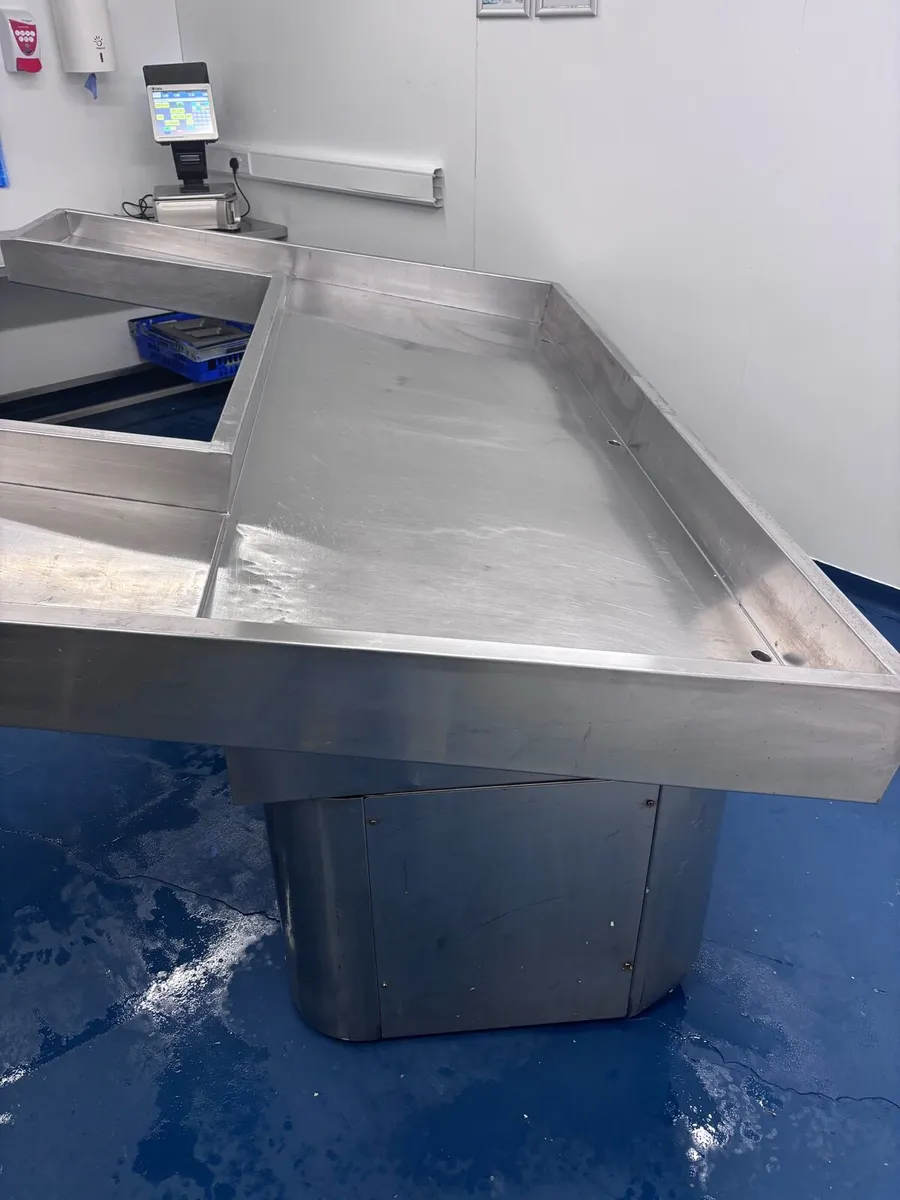 Fish counter - Image 2