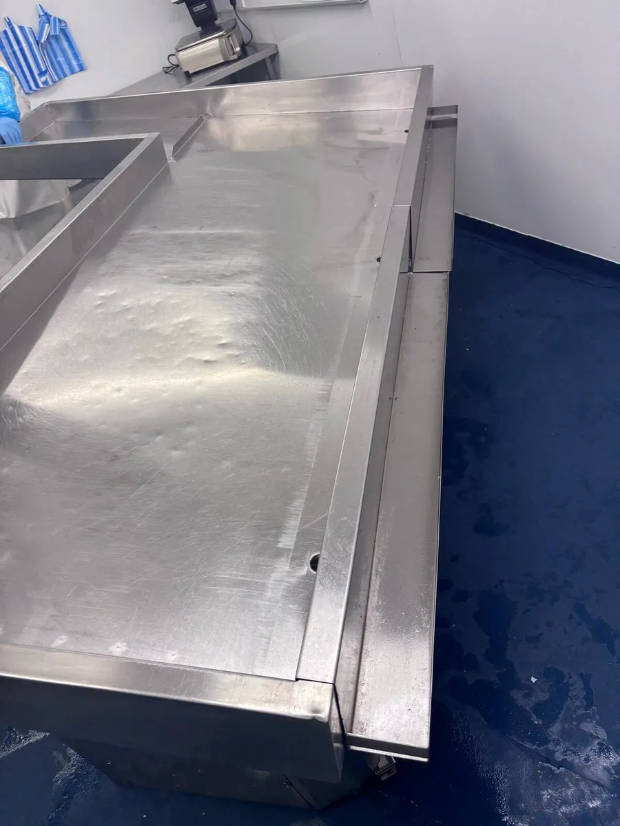 Fish counter - Image 3