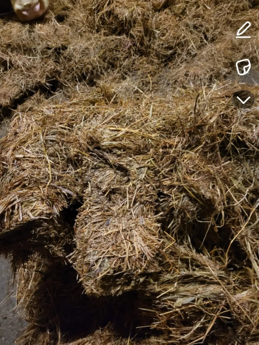 Silage Bales 2025 - Image 2