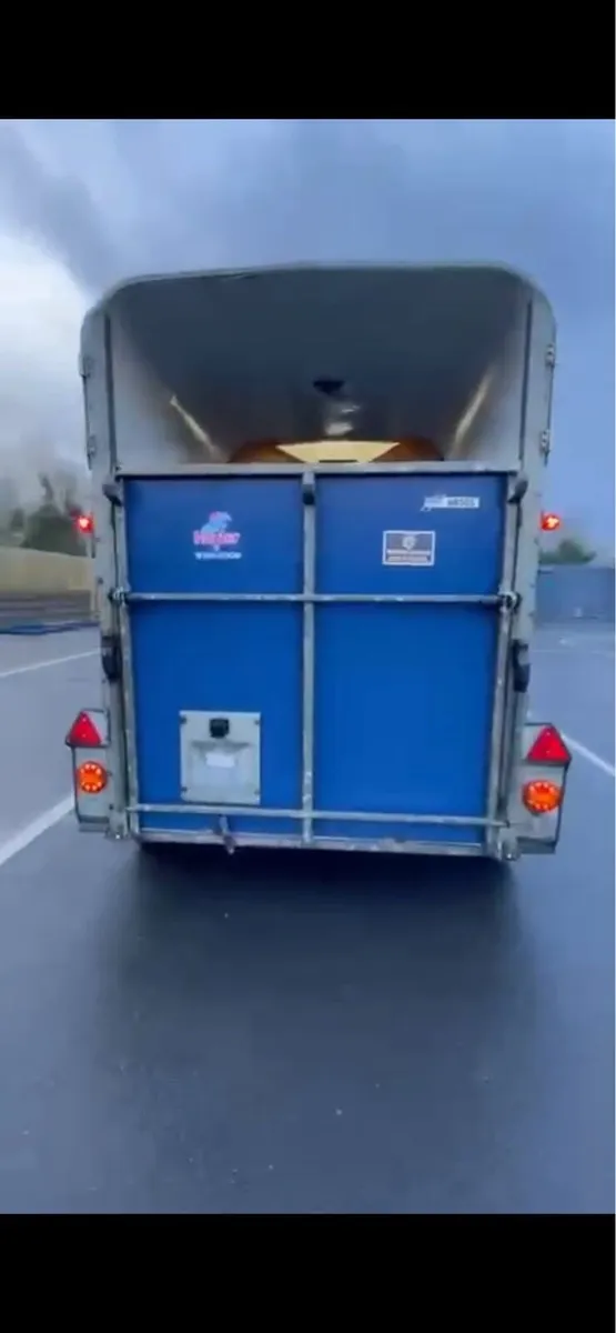 Ifor Williams 505 - Image 2