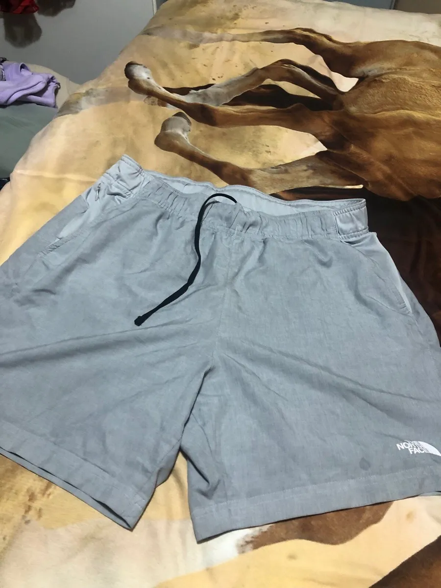 Mens Northface shorts size L €10 - Image 1