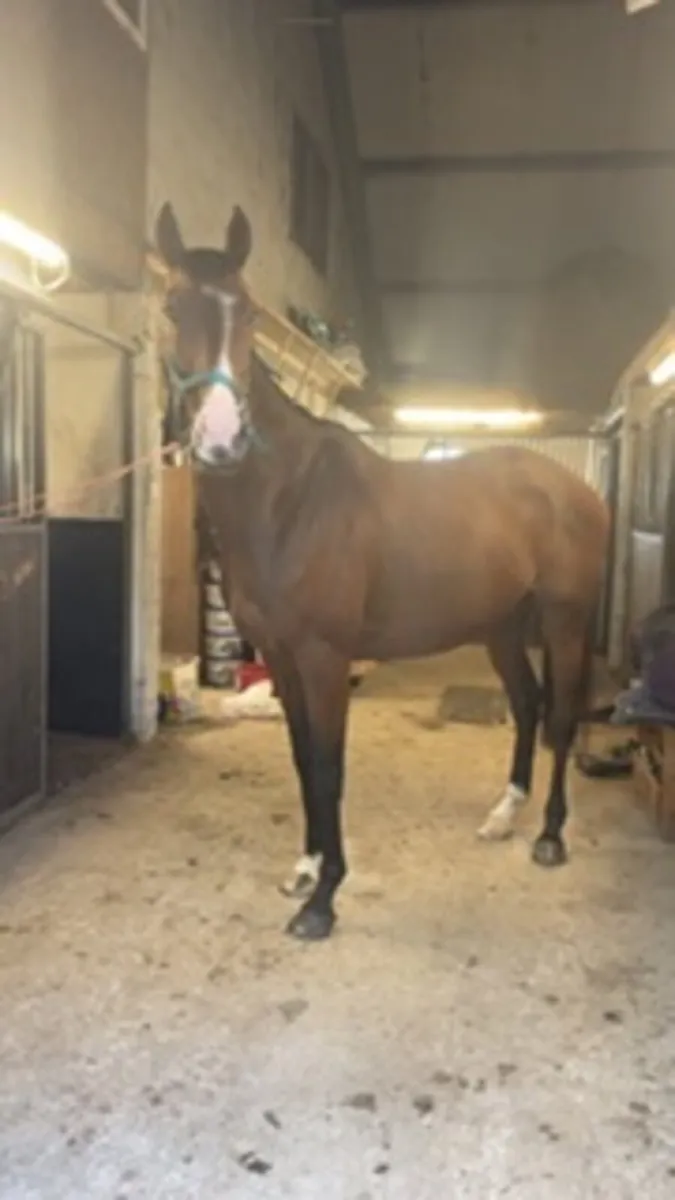 Hero ⭐️ - Image 2