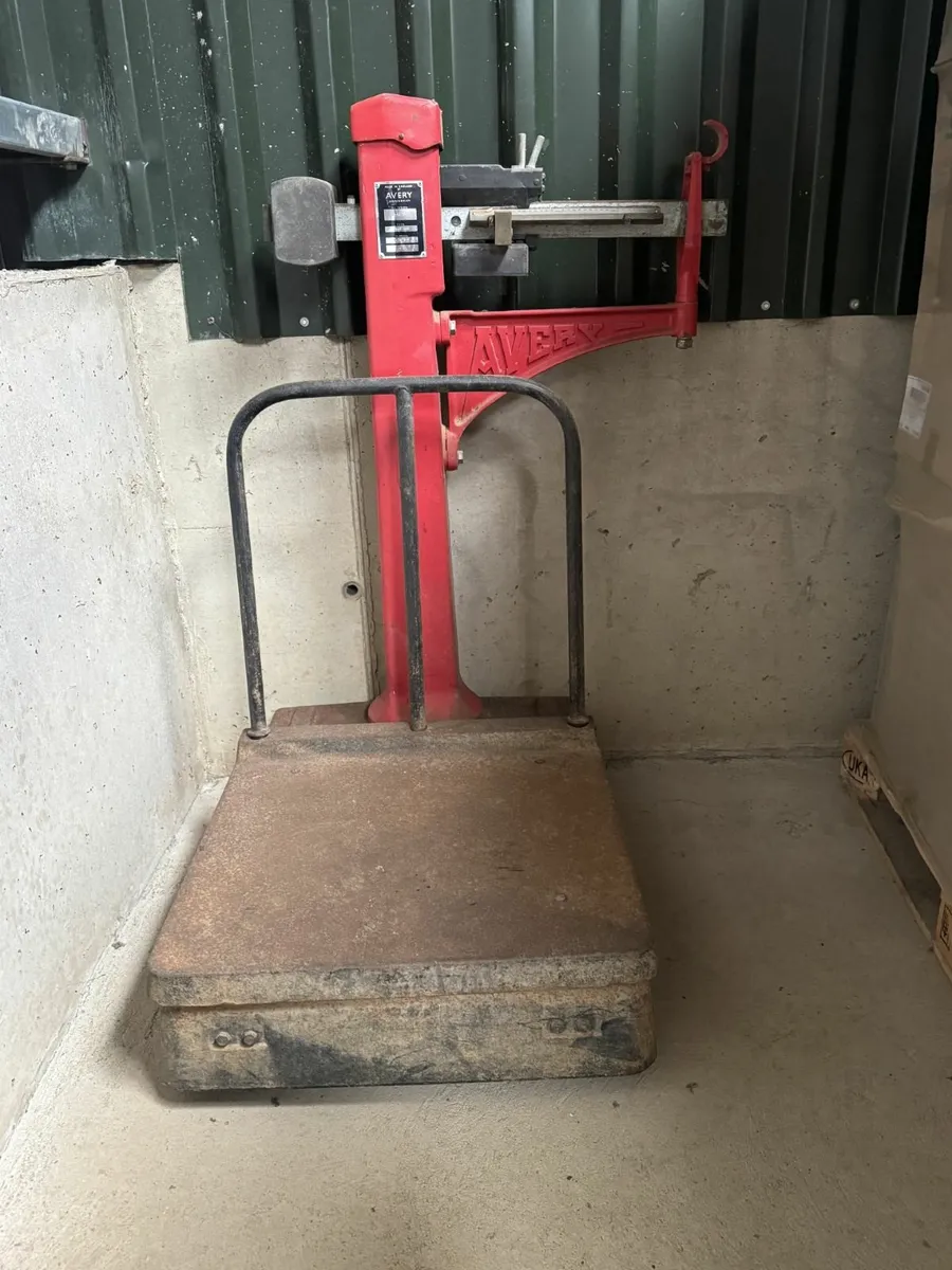 Vintage Avery Scales Weighing up to 250kg - Image 2