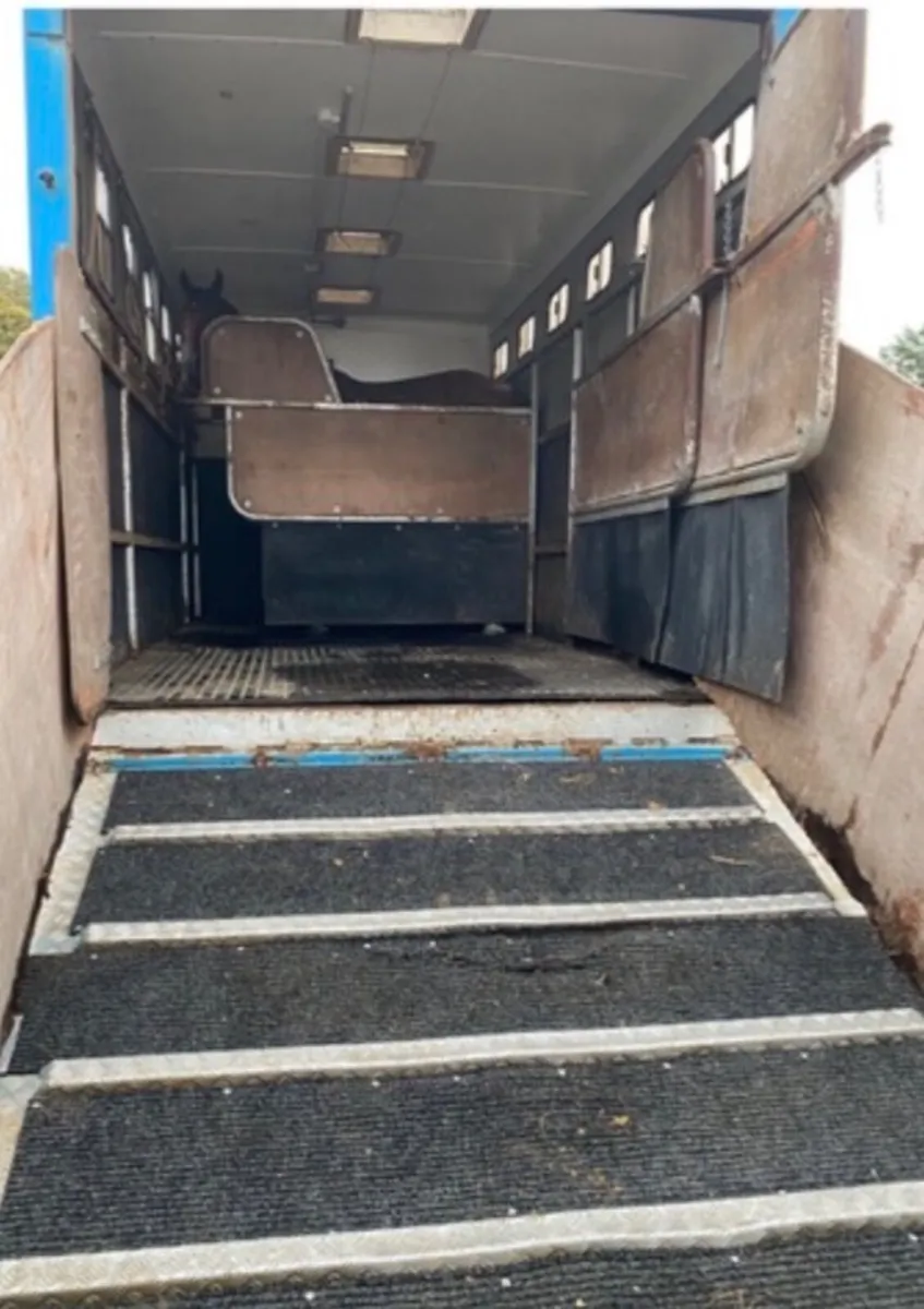 Horse lorry 5/6 stall - Image 4