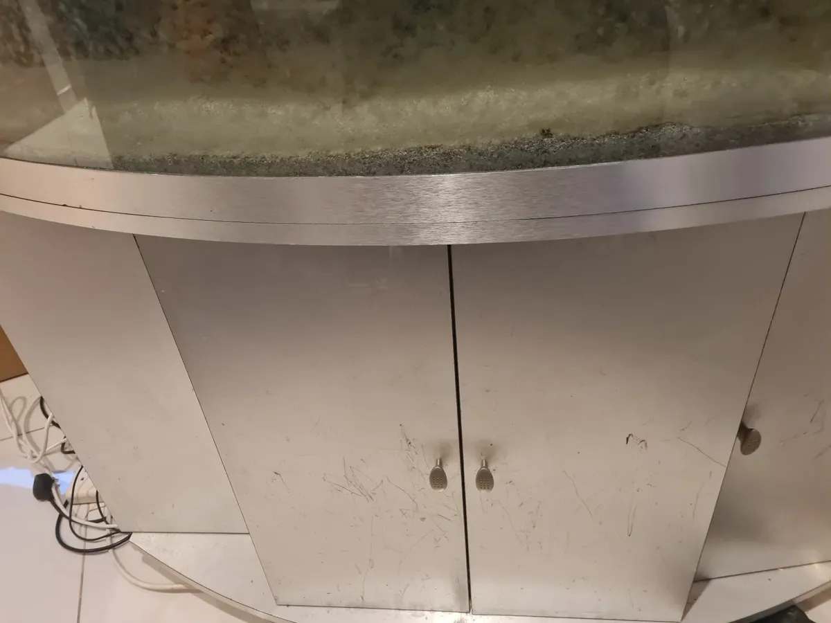 Fish tank - Image 2