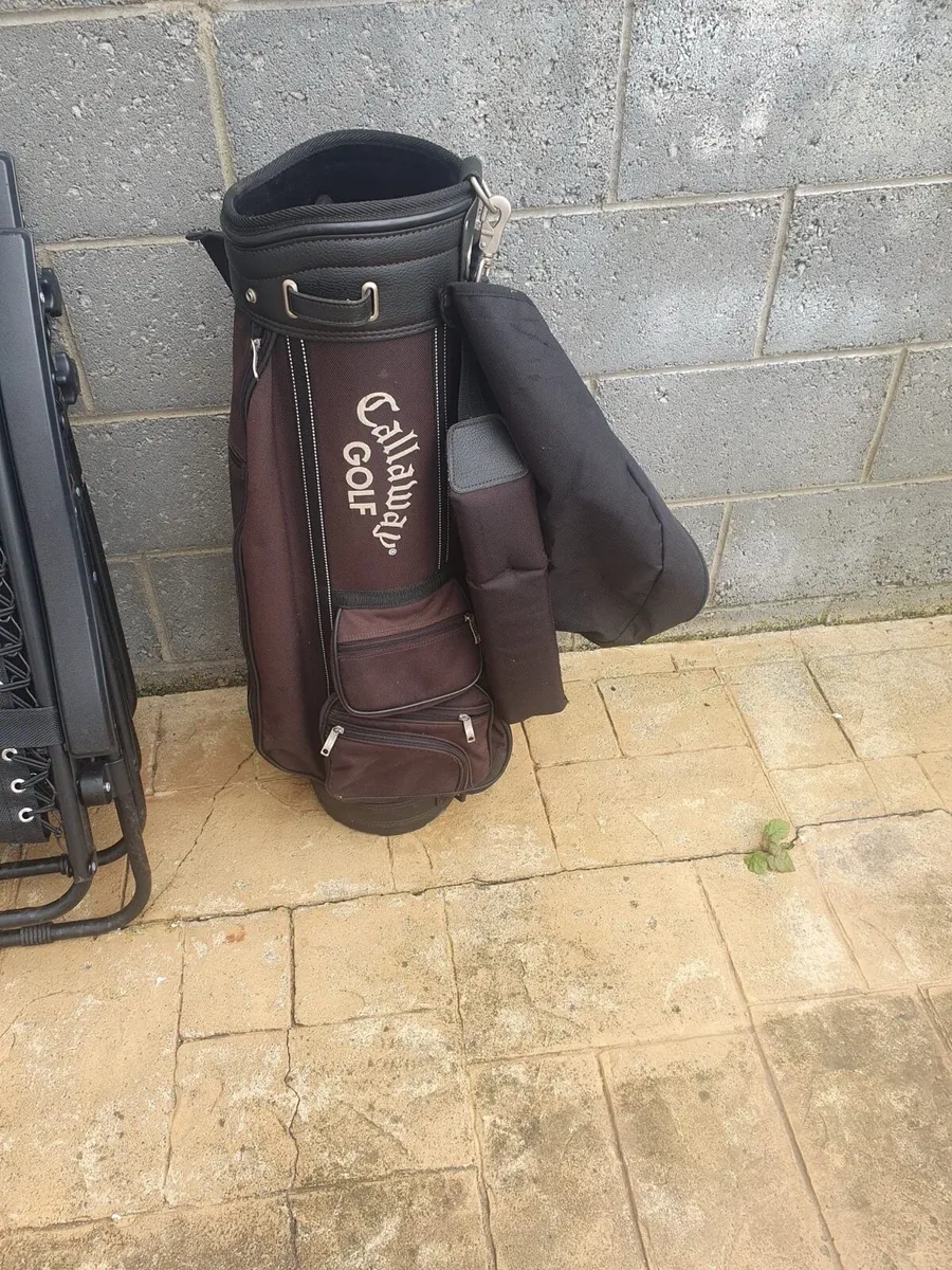 Golf Irons and Stand Bag - Image 3