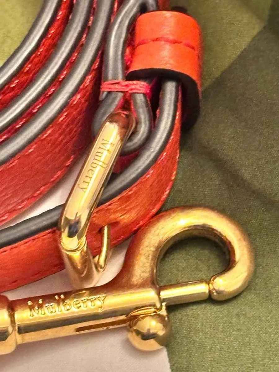 Mulberry Mini Alexa Bag in Coral Orange - Image 4