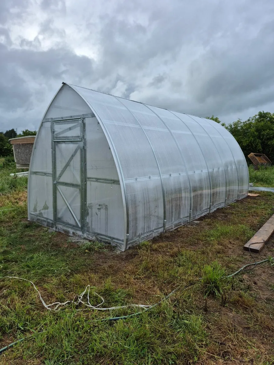 Polytunnel x2 polycarbonate 6mm - Image 3