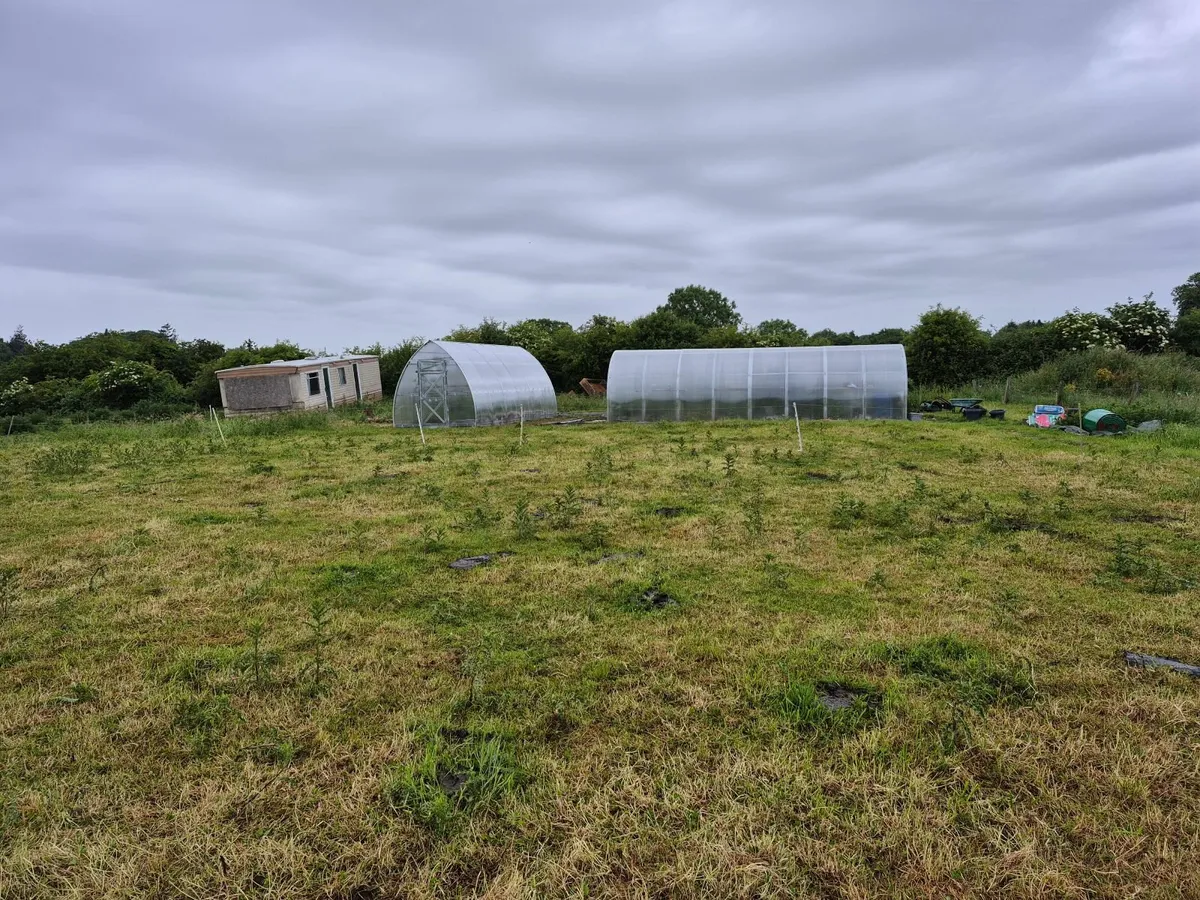 Polytunnel x2 polycarbonate 6mm - Image 2