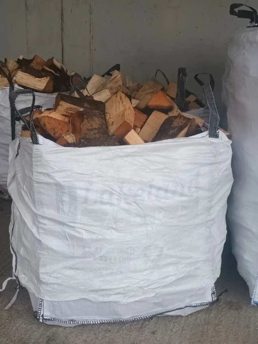 Dry fire wood - Image 3